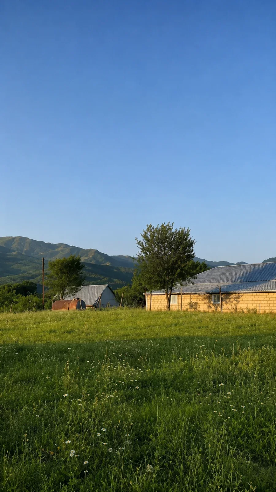 Satılır torpaq, İsmayıllı r-nu