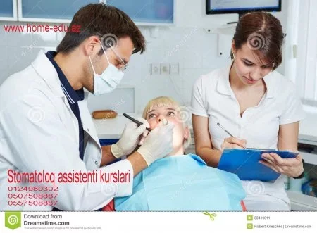 Kurslar