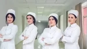 Kurslar