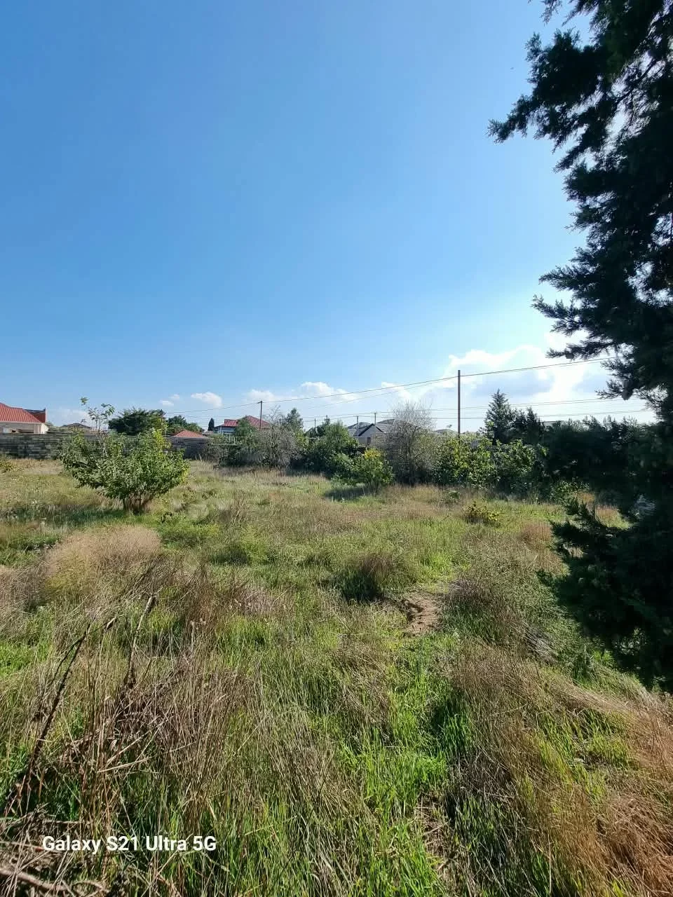 Buzovna Albaliliqda torpaq satılır