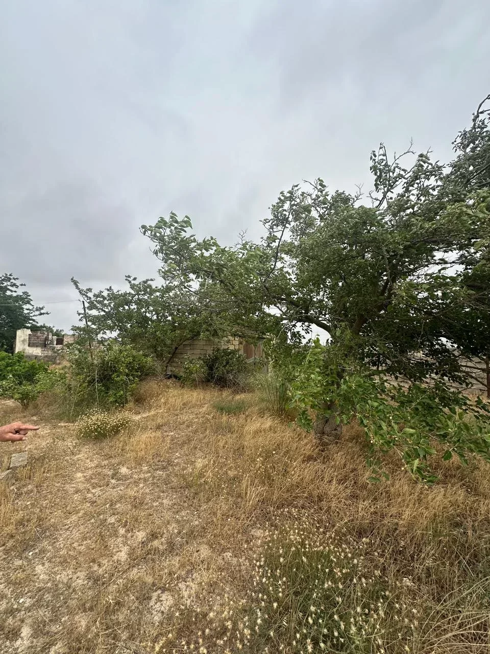 Satılır