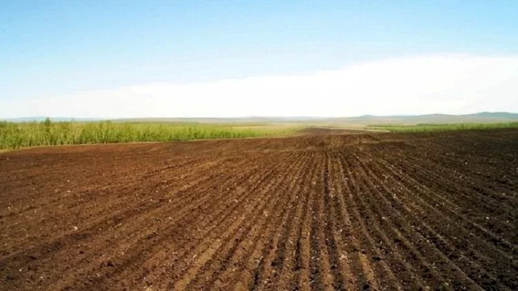 Satılır