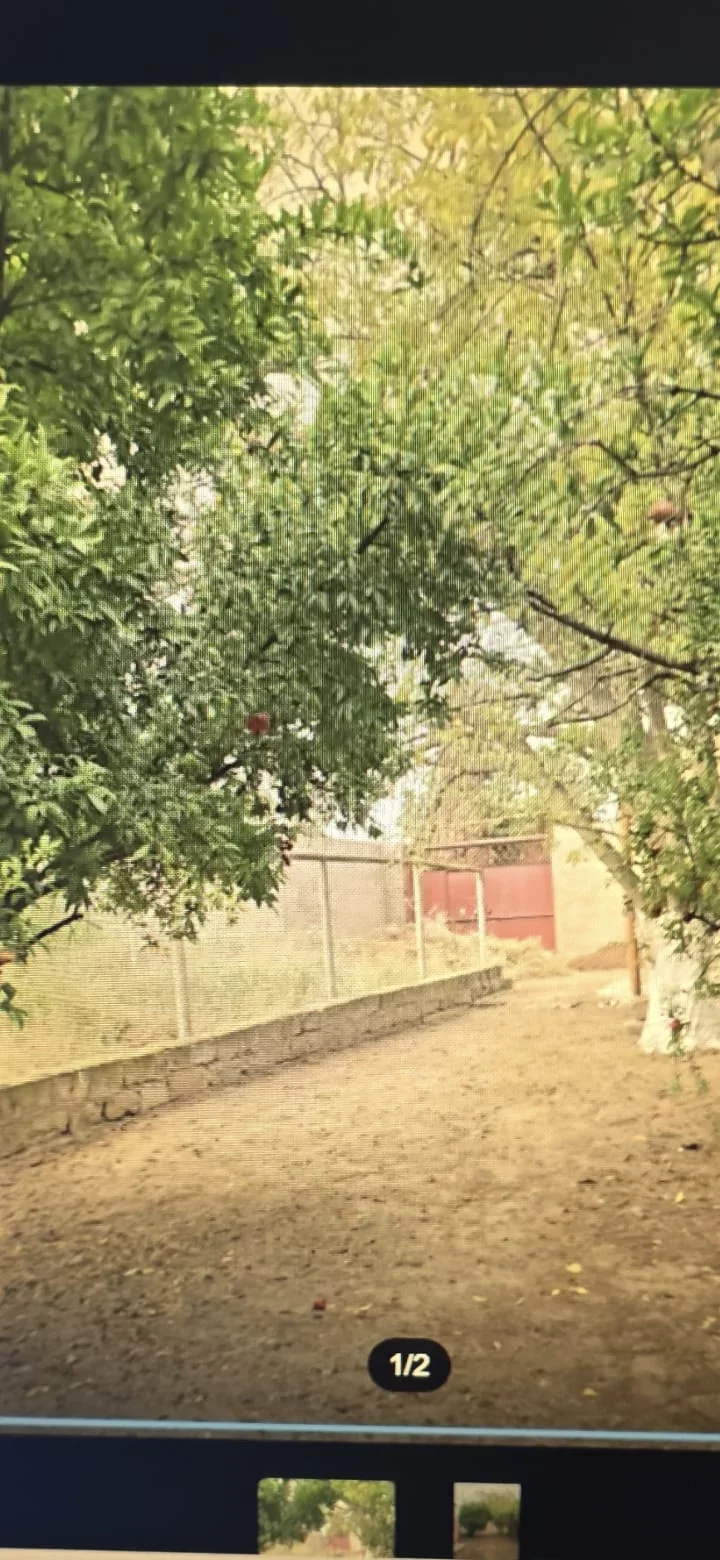 Buzovnada torpaq satılır