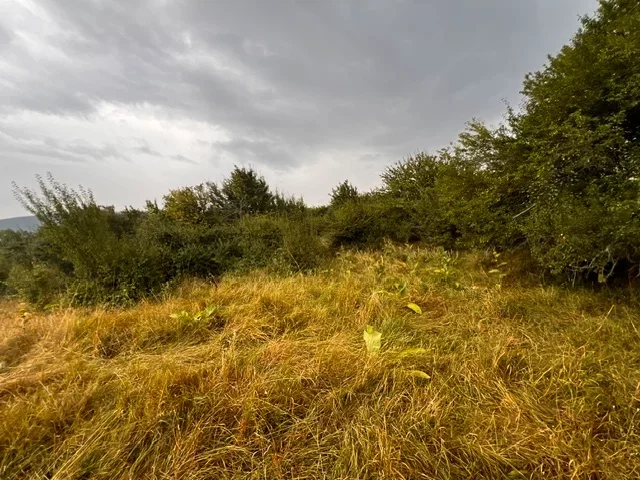 Satılır torpaq, Xızı r-nu