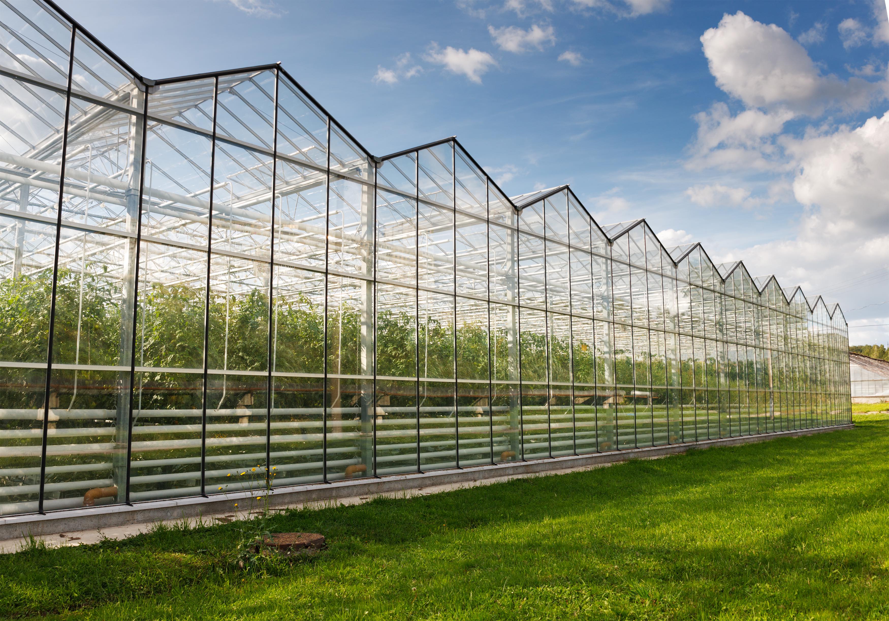 Greenhouse glass