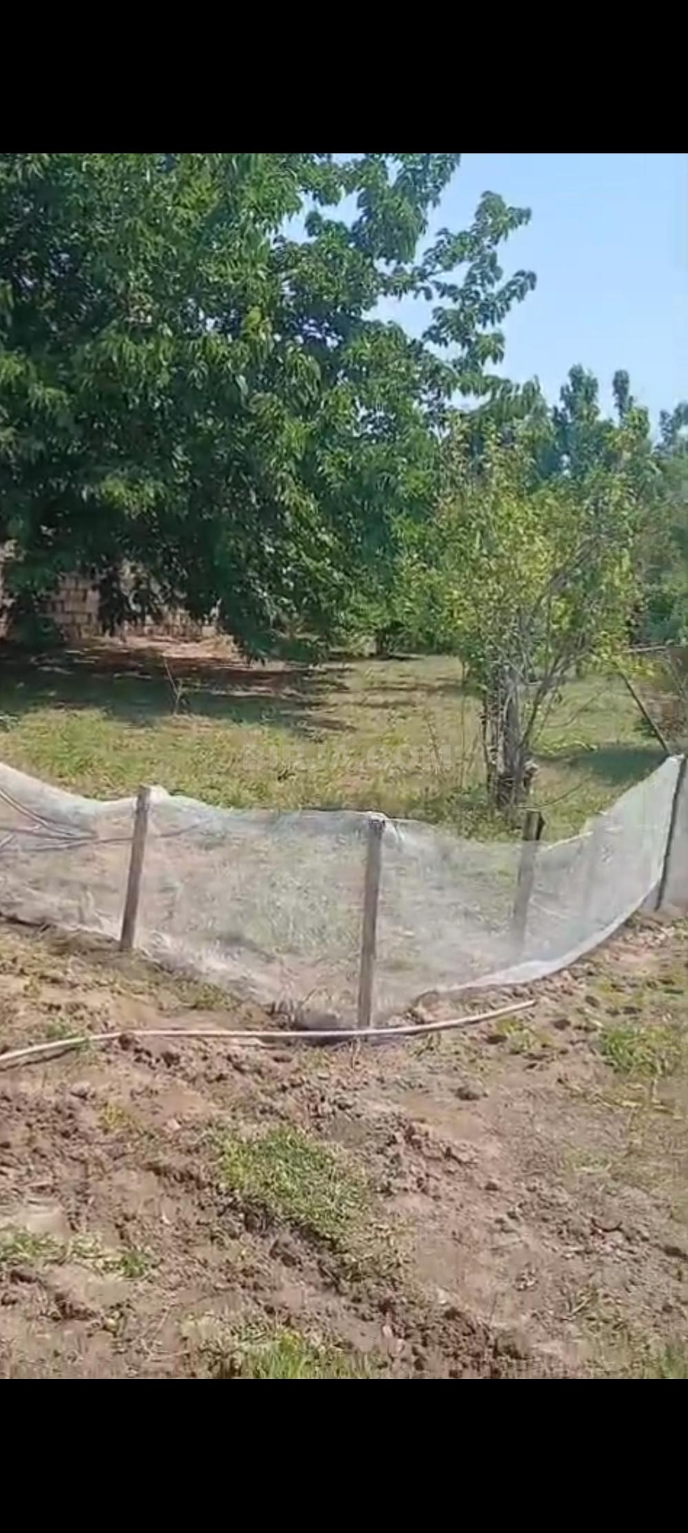 Satılır torpaq, Novxanı q.