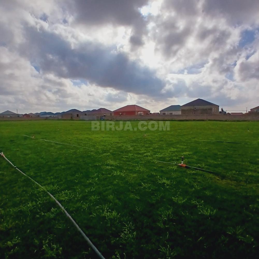 Satılır torpaq, Buzovna — Satılır