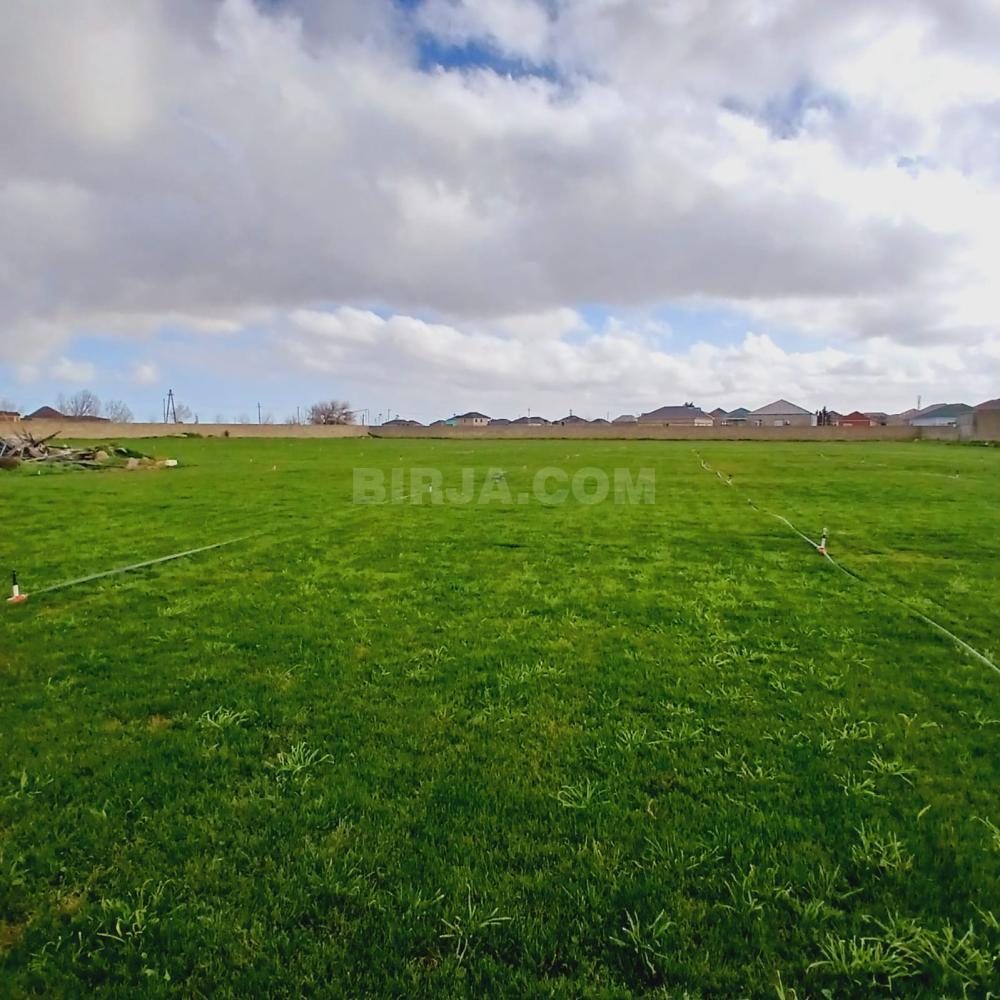 Buzovnada torpaq satılır  — Satılır