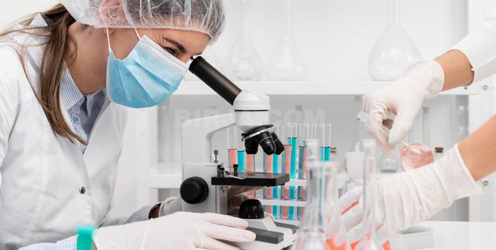 İş təklif edirəm