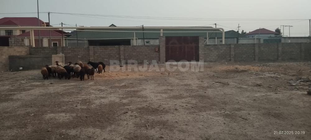 Satılır torpaq, Novxanı — Satılır