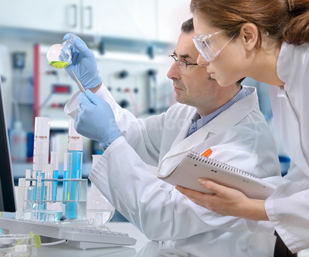 İş təklif edirəm