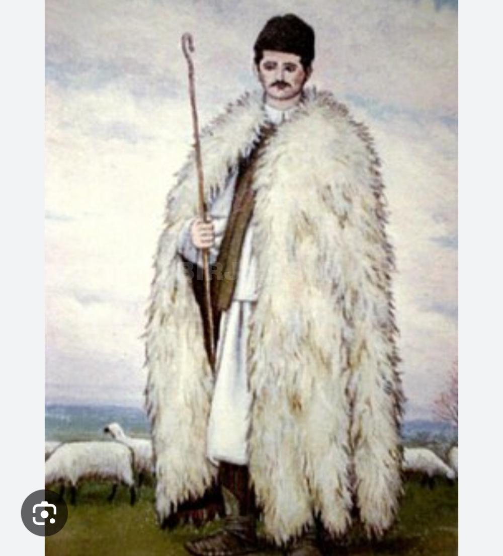 İş təklif edirəm