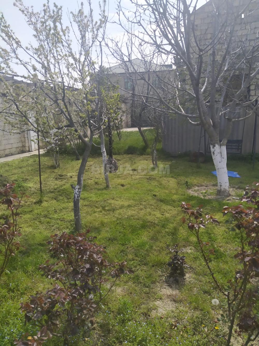 Satılır həyət evi, Qaraçuxur qəs.