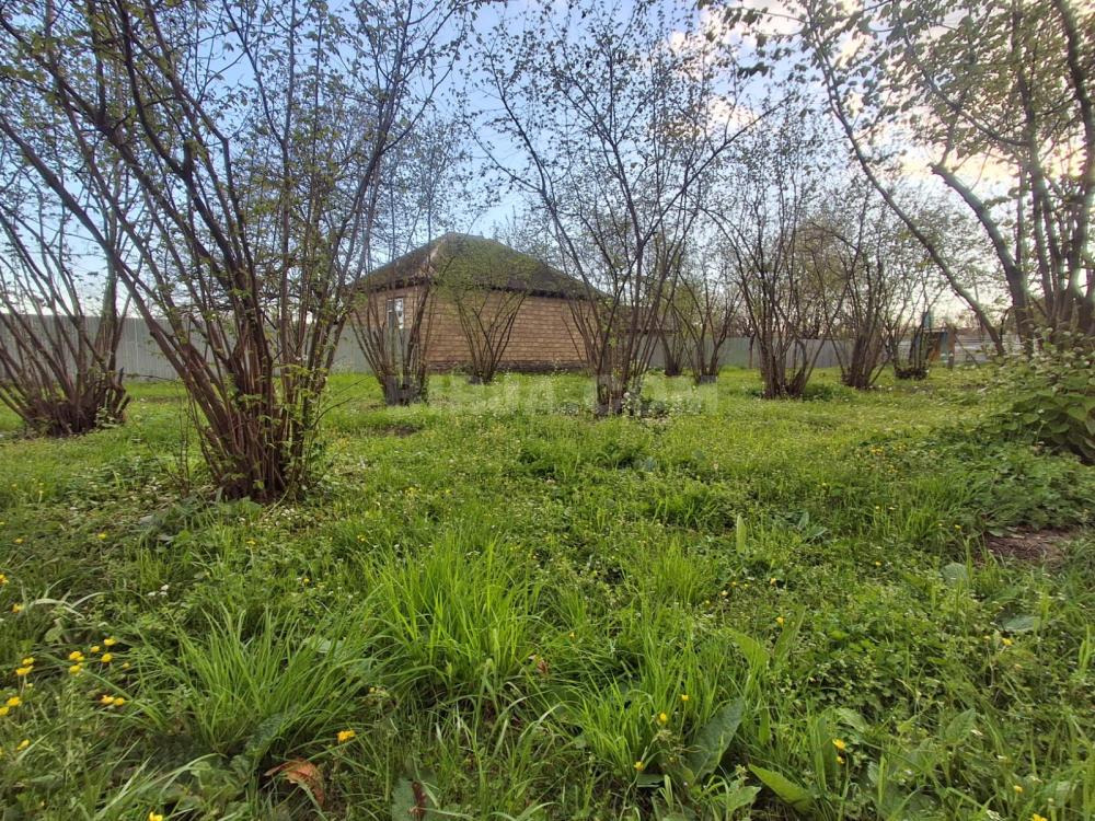 Satılır torpaq, Qəbələ