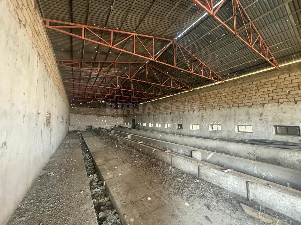 Satılır ferma, Maştağa — Satılır