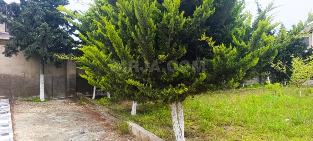 Satılır
