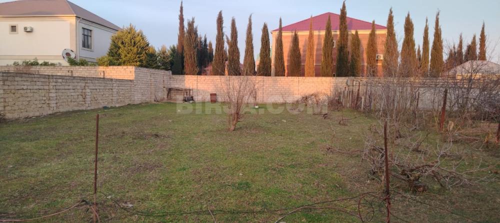 Buzovnada torpaq satılır — Satılır