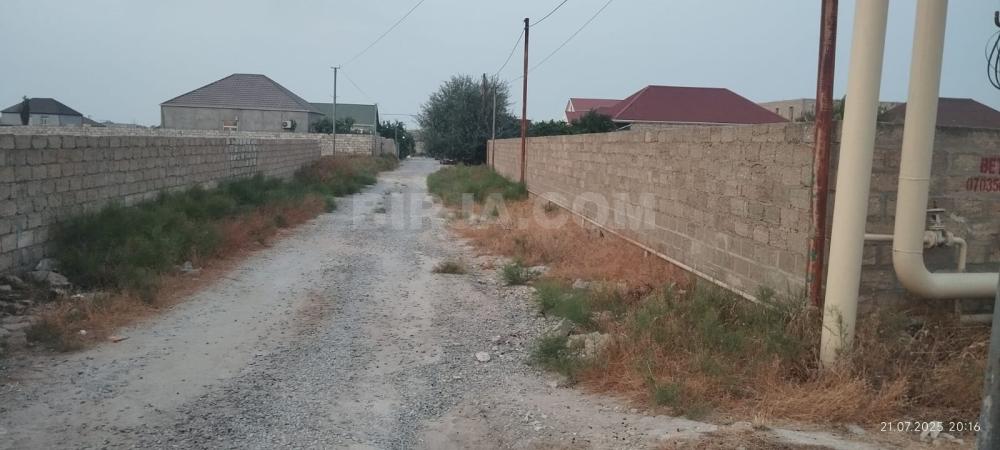 Satılır torpaq, Türkan qəs.