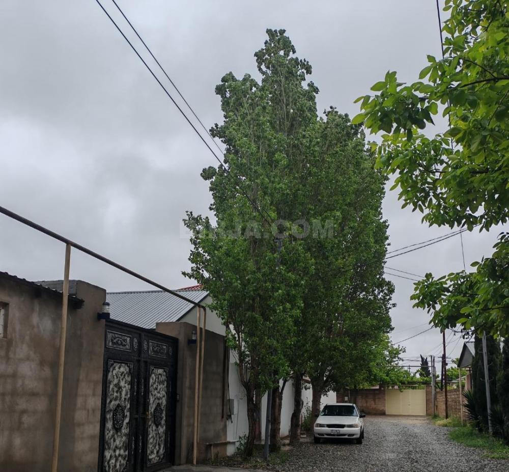 Satılır