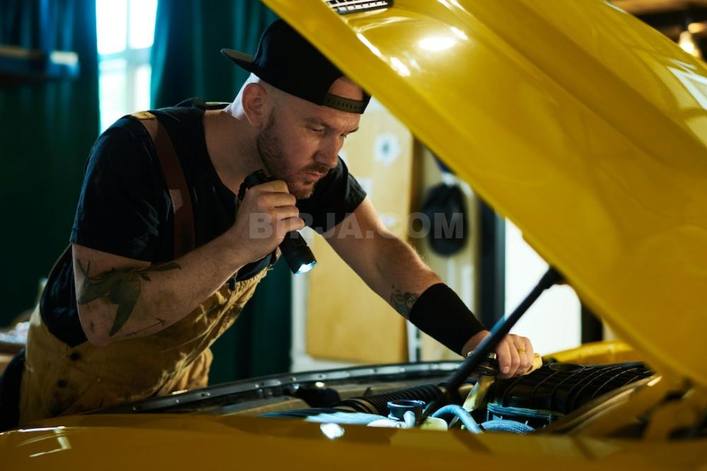 İş təklif edirəm
