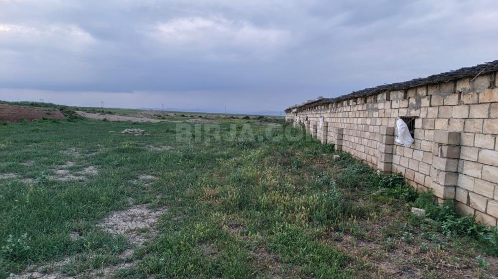 Satılır