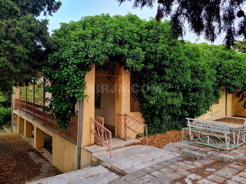 Satılır bağ evi, Bilgəh qəs. — Satılır