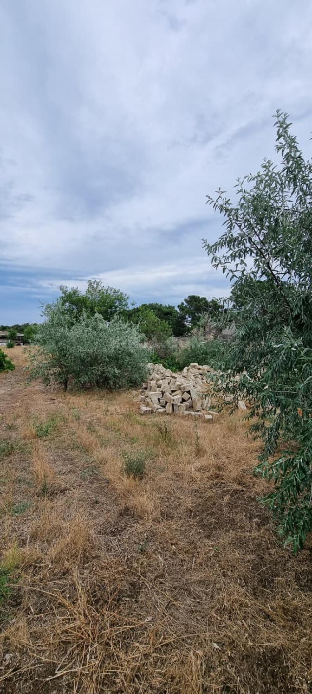 Buzovnada torpaq satılır