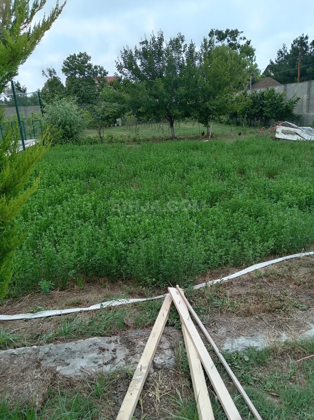 İcarə