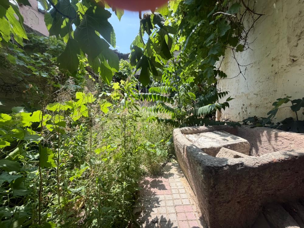 Satılır torpaq, Qaraçuxur q. — Satılır