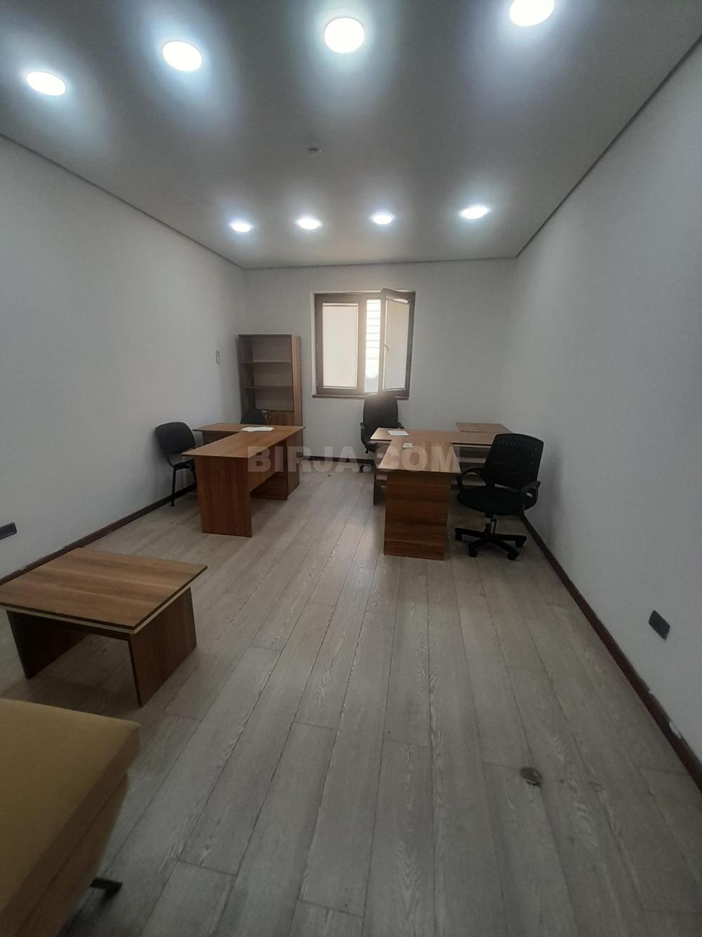 İcarəyə ofis, Gənclik