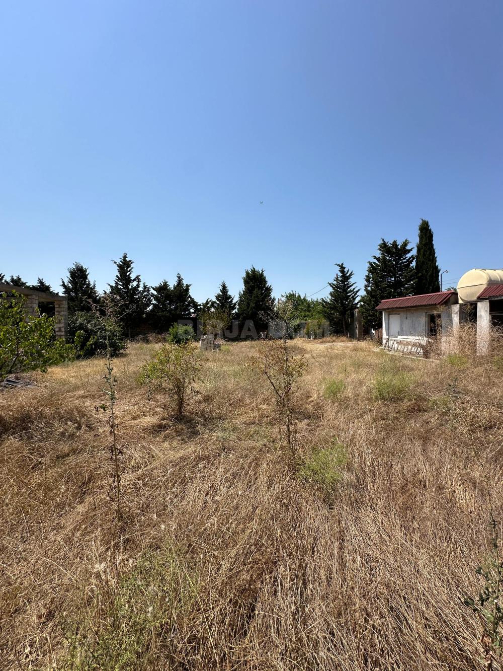 Satılır torpaq, Buzovna q.