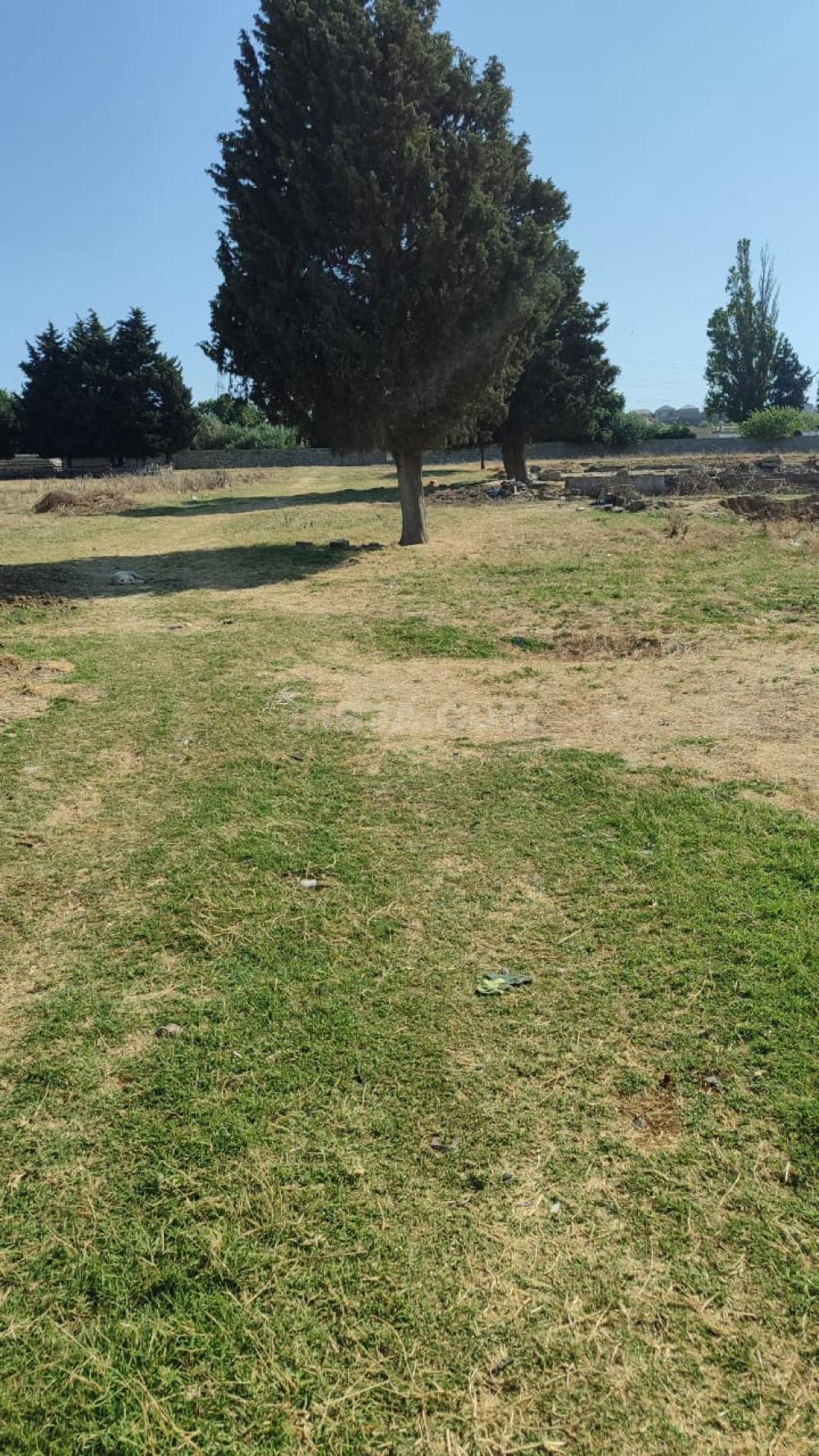 Satılır