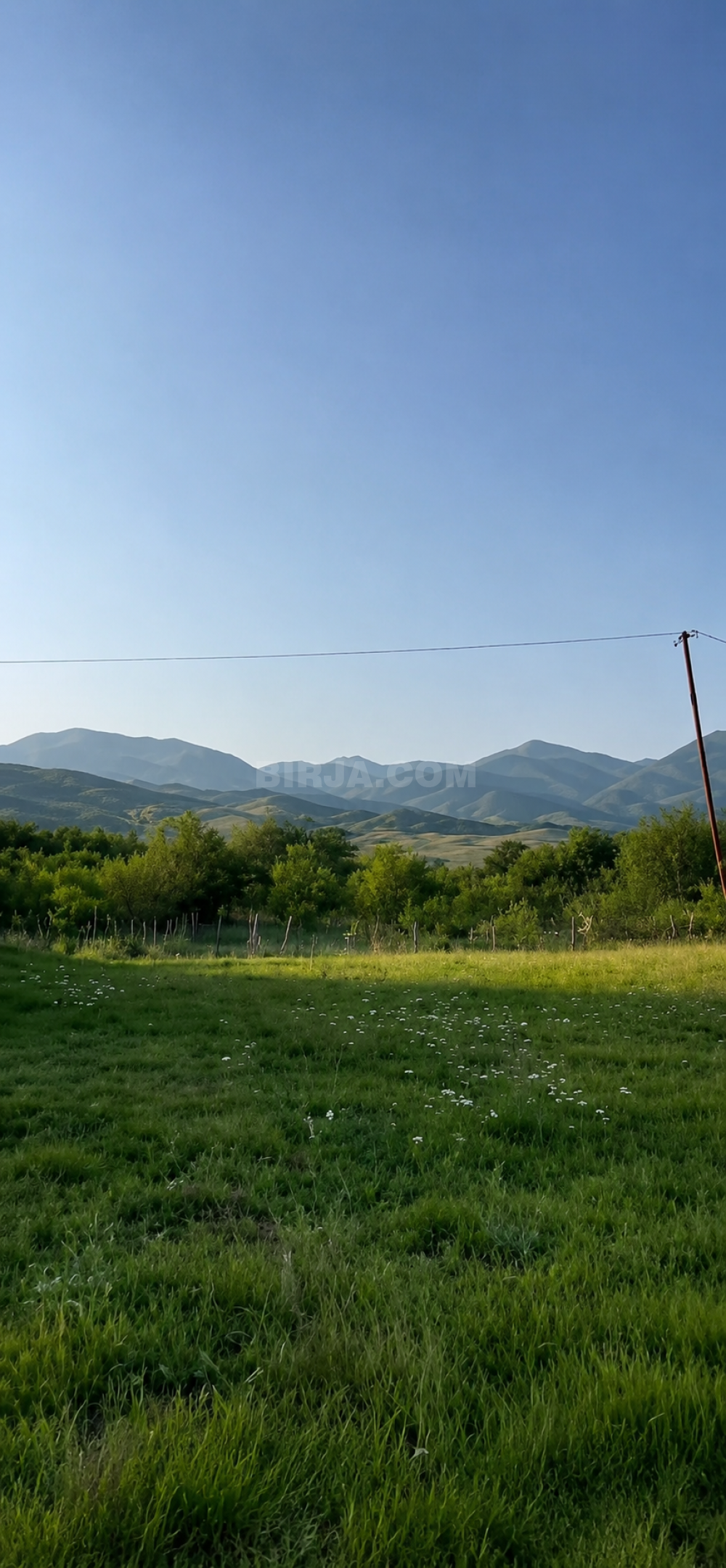 Satılır