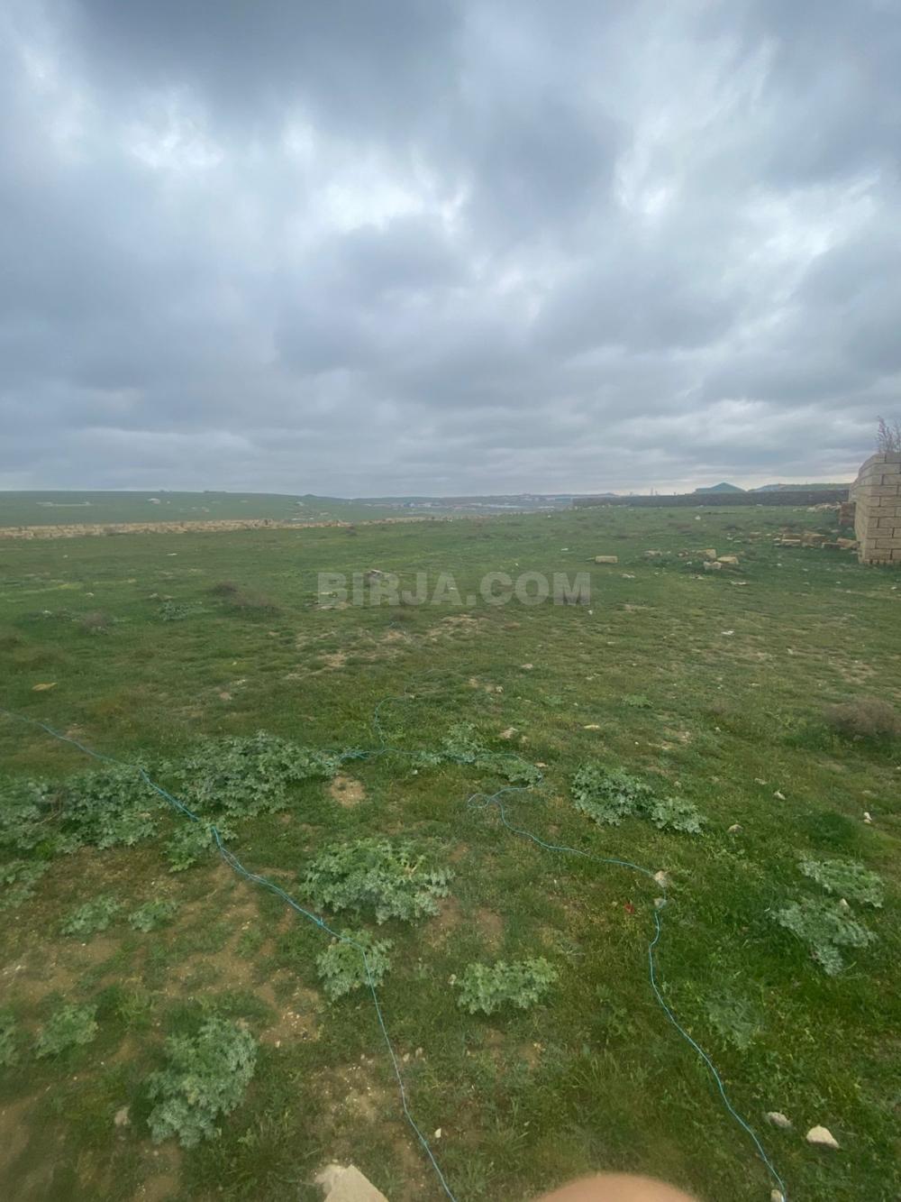 Satılır