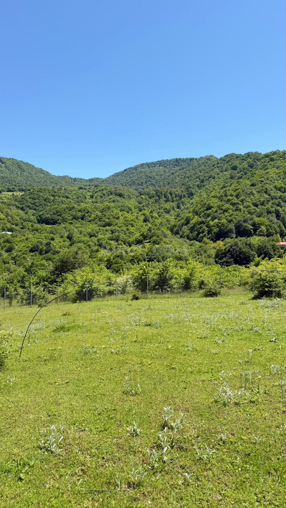 Satılır